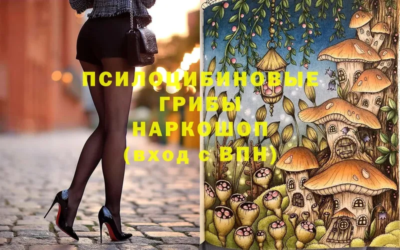 купить наркотики сайты  Санкт-Петербург  Псилоцибиновые грибы Psilocybine cubensis 